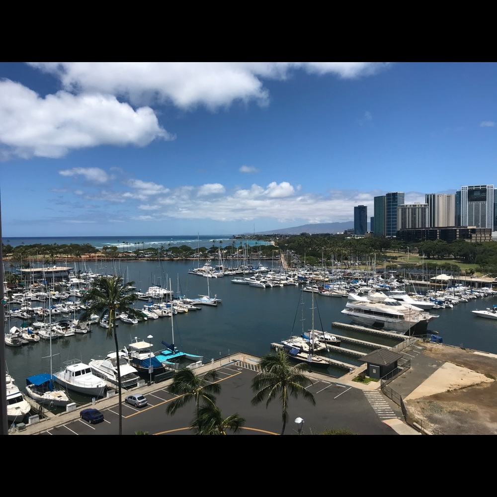 Meet your Posher, Brenda